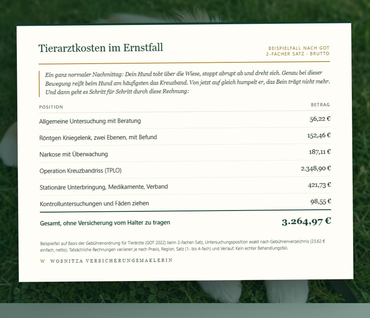 Beispielrechnung nach GOT für einen Kreuzbandriss beim Hund über 3.264,97 Euro